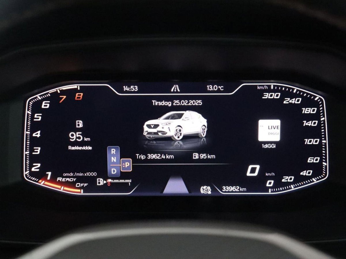Cupra Formentor Formentor 1.5 TSI (16)