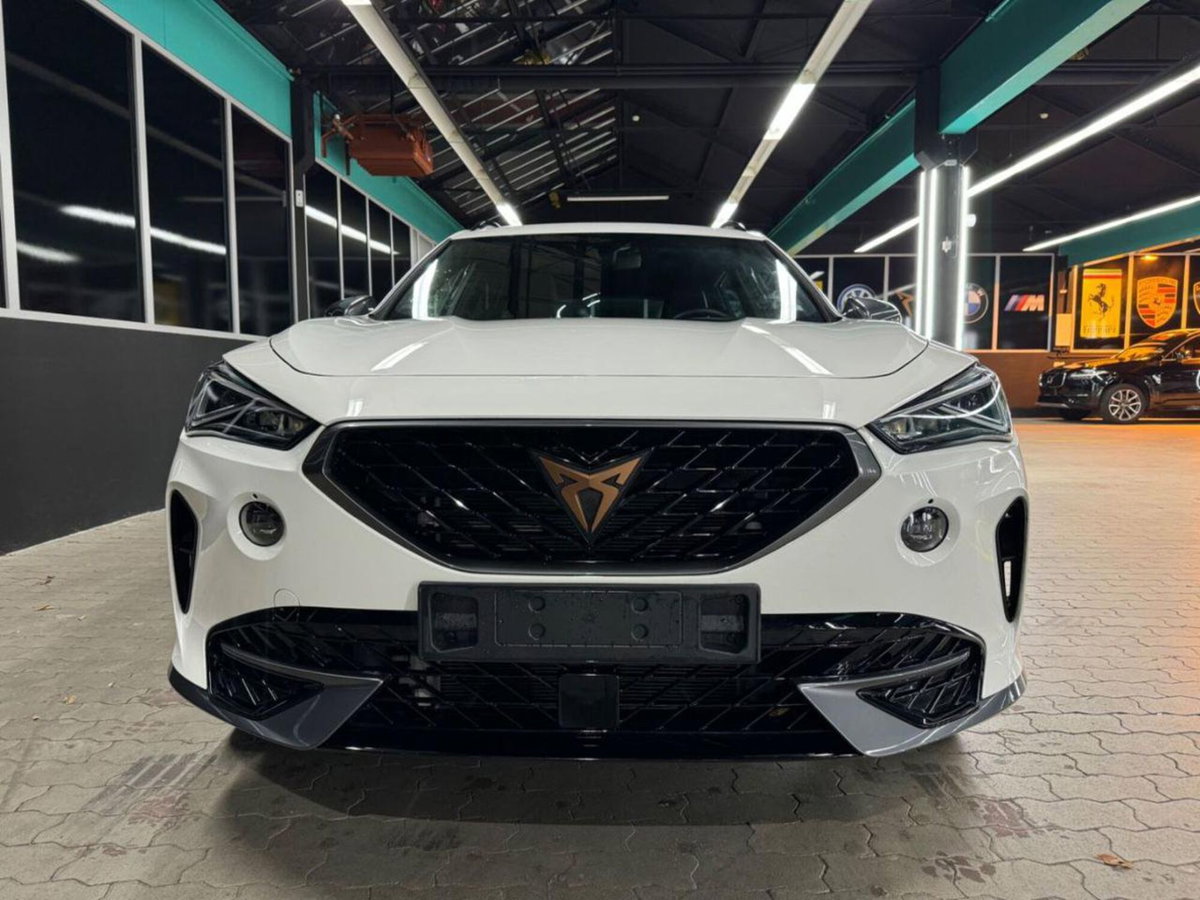 Cupra Formentor Formentor 1.5 TSI (2)