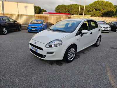 Fiat Punto 1.3 MJT II 75 CV 5 porte Street usata