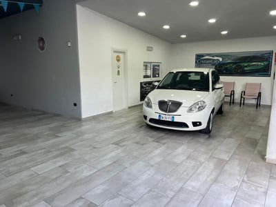 Lancia Ypsilon 1.4 Argento Ecochic GPL usata
