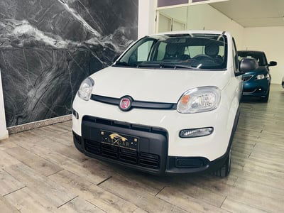 Fiat Panda 1.0 FireFly S&S Hybrid usata