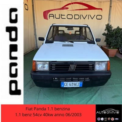 Fiat Panda 1100 i.e. cat Young usata
