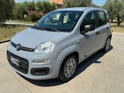 Fiat Panda 1.2 EasyPower Lounge usata