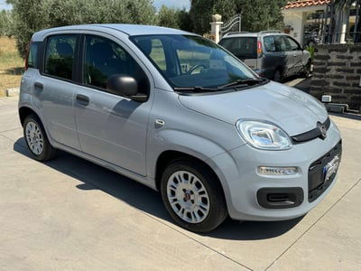 Fiat Panda 1.2 EasyPower Lounge usata