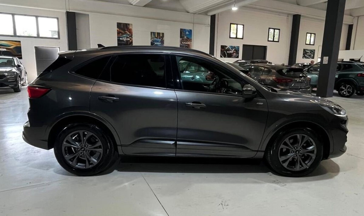 Ford Kuga 2.0 EcoBlue 120 CV aut. 2WD ST-Line X (5)