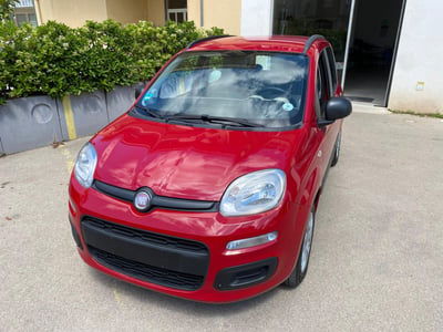 Fiat Panda 1.2 Easy usata