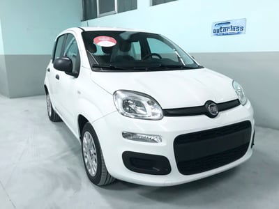 Fiat Panda 1.0 FireFly S&S Hybrid nuova