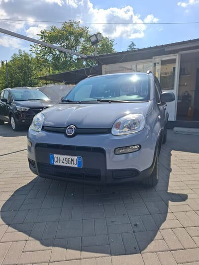Fiat Panda 1.0 FireFly S&S Hybrid usata
