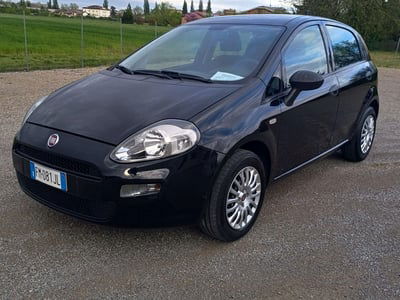 Fiat Punto 1.2 8V 5 porte Street usata