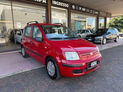 Fiat Panda 1.2 Dynamic usata