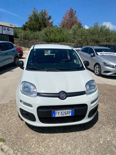 Fiat Panda 1.2 Pop usata