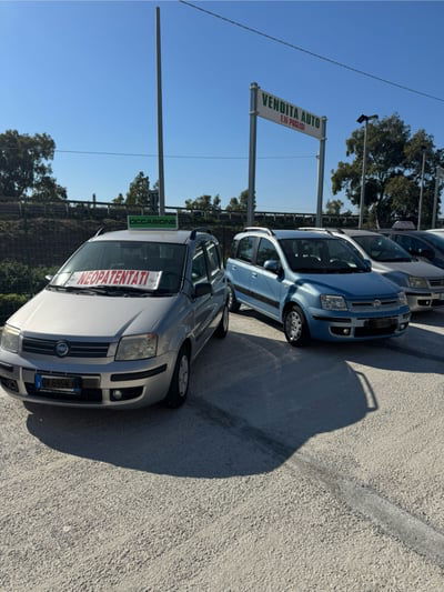 Fiat Panda 1.2 Dynamic usata