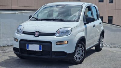 Fiat Panda Cross Cross 1.0 FireFly S&S Hybrid usata