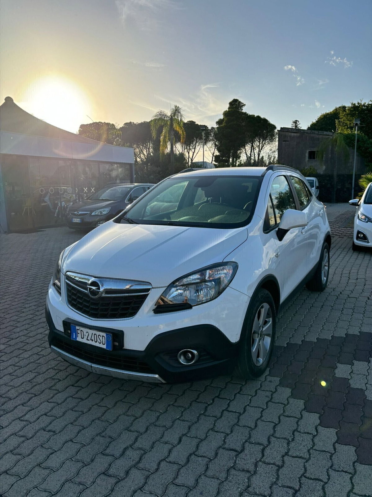Opel Mokka 1.6 CDTI Ecotec 136CV 4x4 Start&Stop Ego (14)