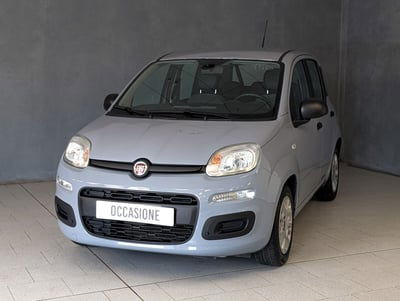 Fiat Panda Cross Cross 1.0 FireFly S&S Hybrid usata