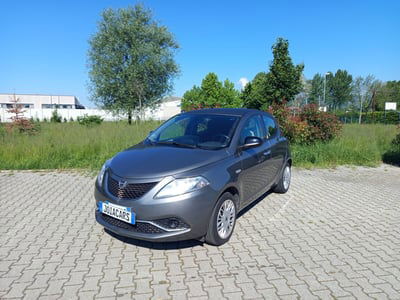 Lancia Ypsilon 1.2 69 CV 5 porte Platinum usata