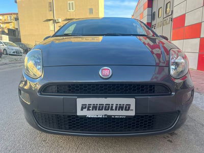 Fiat Punto 1.2 8V 3 porte Easy usata