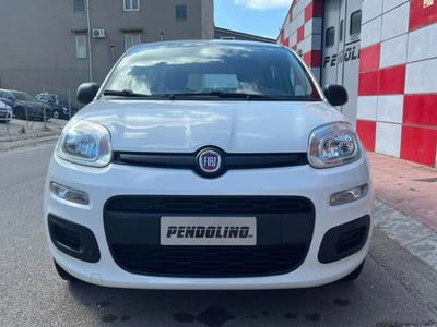 Fiat Panda 1.2 Pop usata