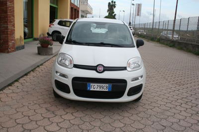 Fiat Panda 1.2 Easy usata