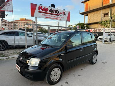 Fiat Panda 1.2 Dynamic usata