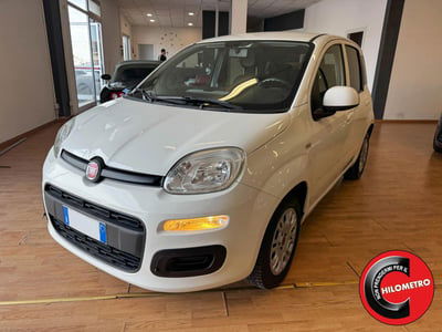 Fiat Panda 1.3 MJT 80 CV S&S Easy usata