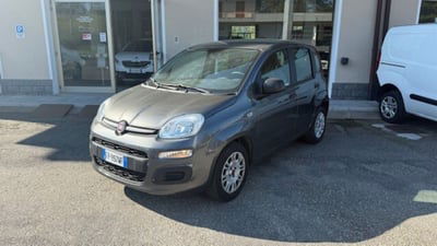 Fiat Panda 1.2 Easy usata