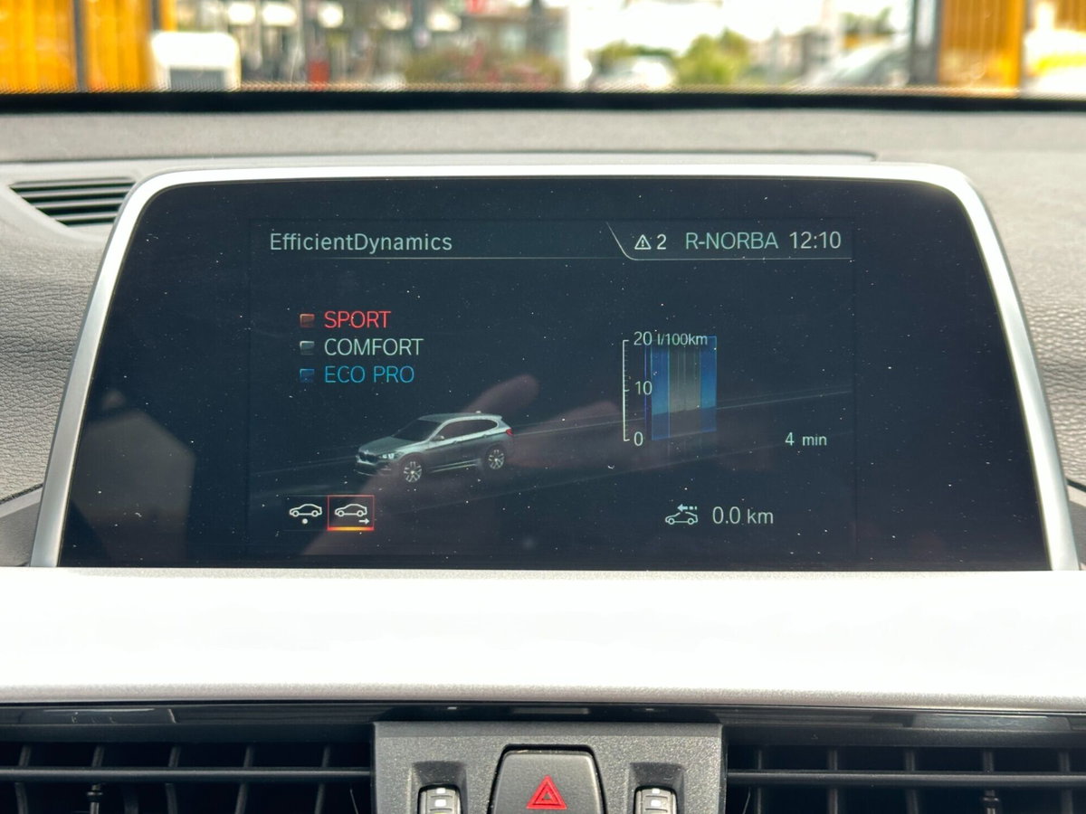 BMW X1 xDrive18d Business Advantage (20)