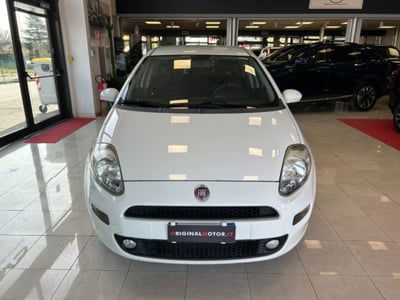 Fiat Punto 1.2 8V 5 porte Street usata