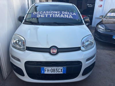 Fiat Panda 1.2 Pop usata