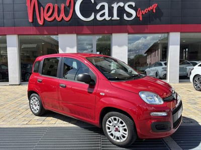 Fiat Panda 1.2 Easy usata