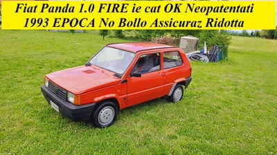 Fiat Panda 1000 i.e. cat CL usata