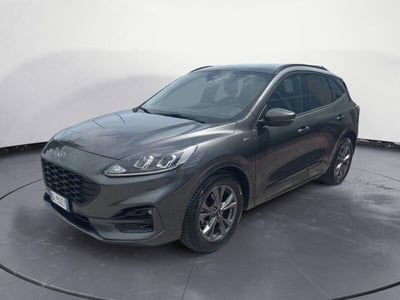 Ford Kuga 1.5 EcoBlue 120 CV 2WD ST-Line usata