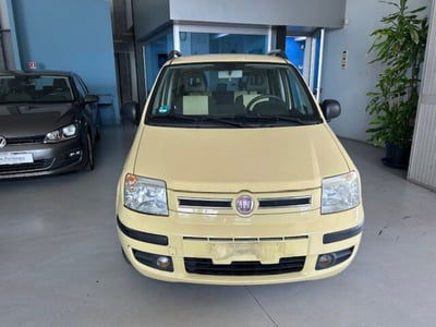 Fiat Panda 1.2 Dynamic usata