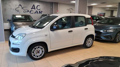 Fiat Panda 1.3 MJT 95 CV S&S Easy usata