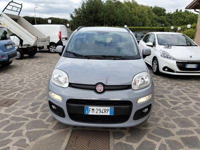 Fiat Panda 1.3 MJT 95 CV S&S Lounge usata