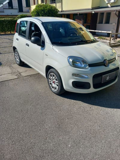 Fiat Panda 1.2 Easy usata