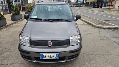 Fiat Panda 1.2 Dynamic usata