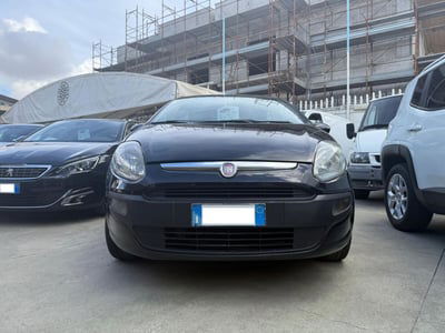 Fiat Punto Evo 1.4 5 porte Active usata