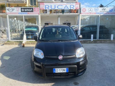 Fiat Panda 1.0 FireFly S&S Hybrid City Life usata