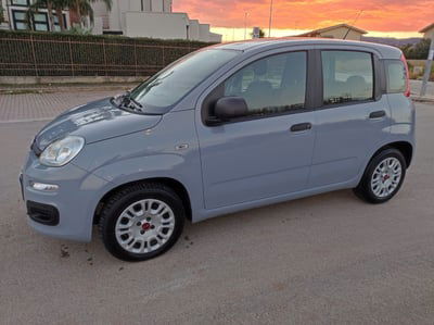 Fiat Panda 1.2 usata