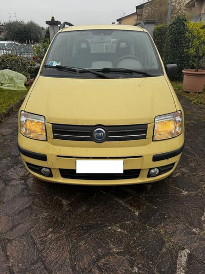 Fiat Panda 1.2 Dynamic usata