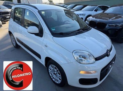 Fiat Panda 1.3 MJT S&S Easy usata