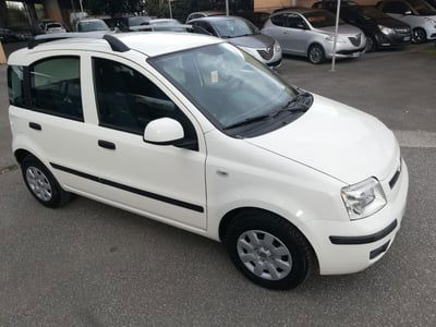 Fiat Panda 1.2 Dynamic usata