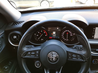 Alfa Romeo Stelvio Stelvio 2.2 Turbodiesel 190 CV AT8 Q4 Sprint (18)
