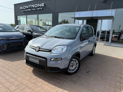 Fiat Panda 1.0 FireFly S&S Hybrid usata