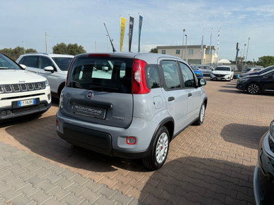 Fiat Panda 1.0 FireFly S&S Hybrid (3)