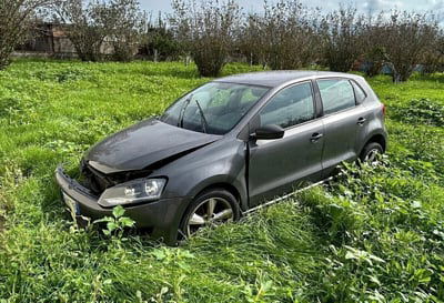 Volkswagen Polo 1.2 TDI DPF 5 p. United usata