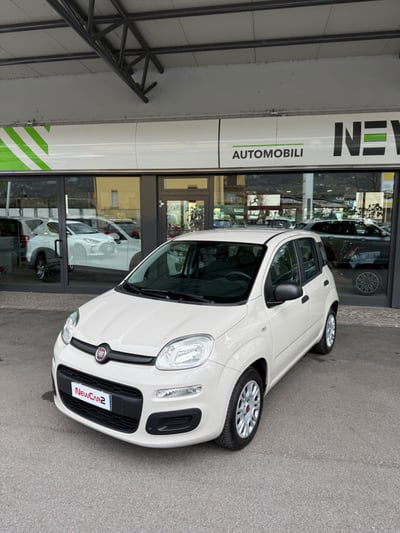 Fiat Panda 1.2 Easy usata
