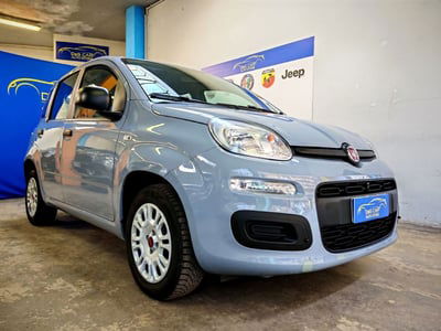 Fiat Panda 1.2 Easy usata