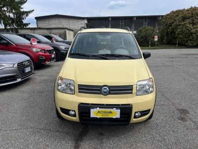 Fiat Panda 1.2 4x4 usata